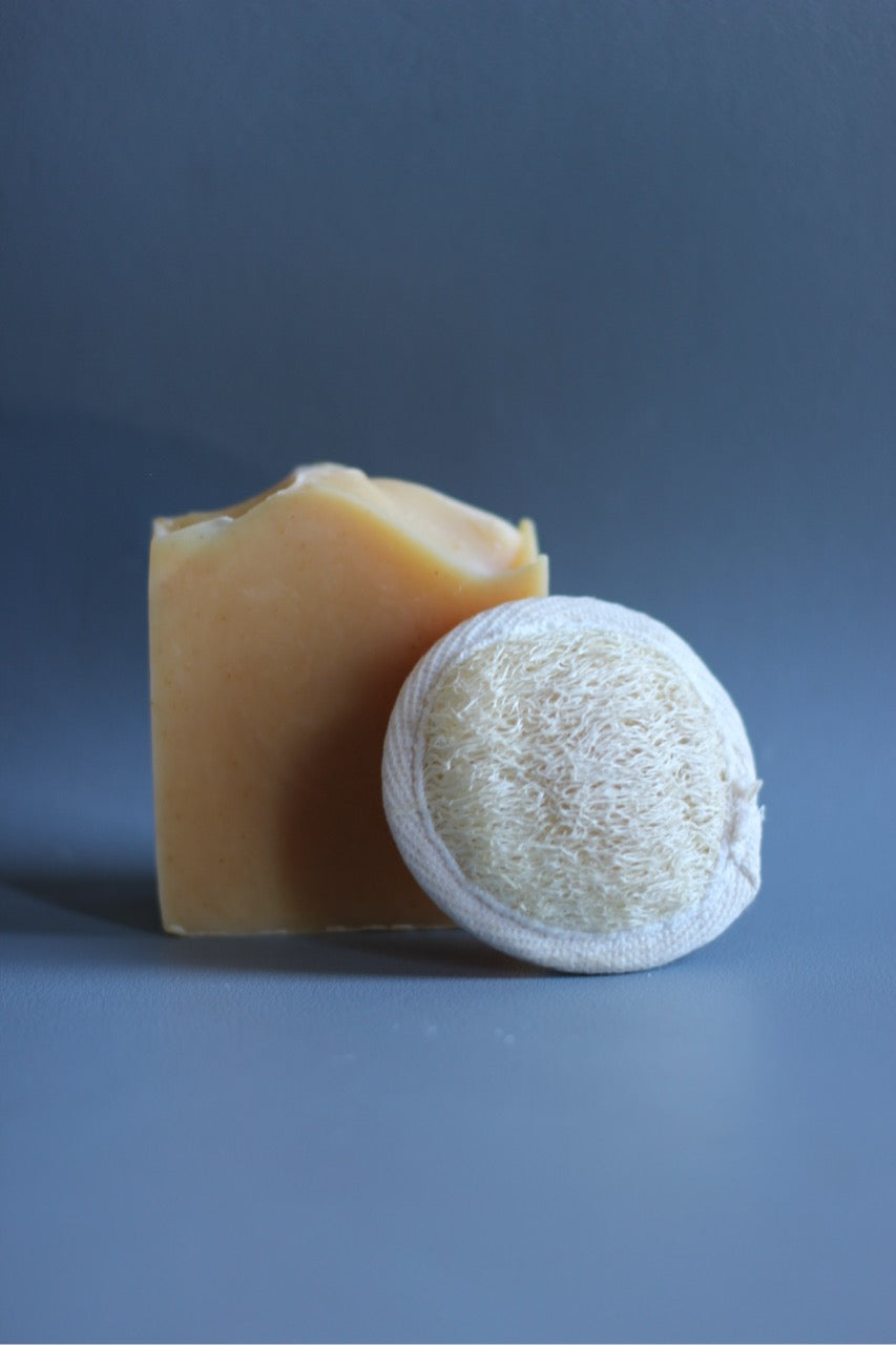 Exfoliating Loofah Pad